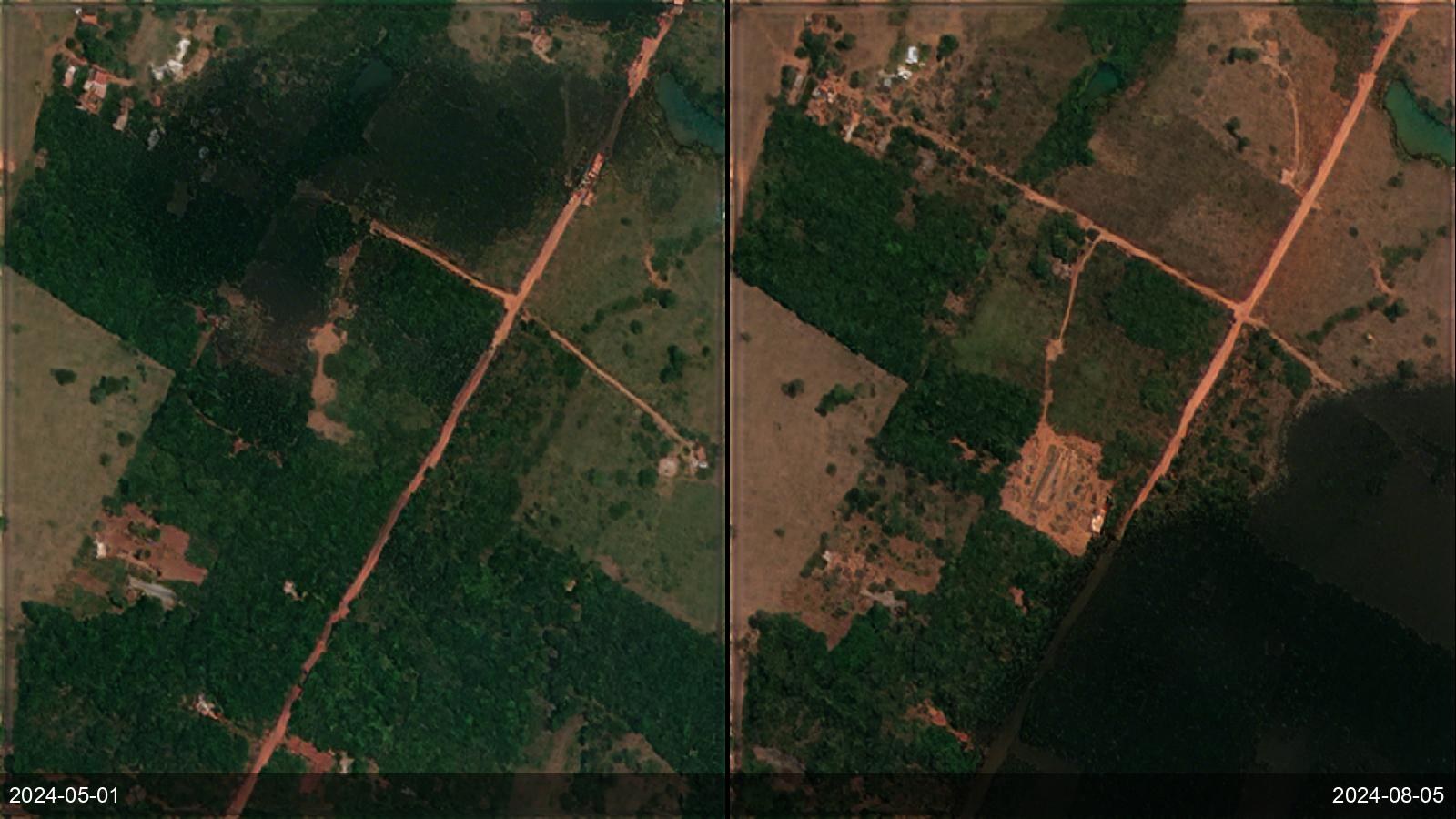 Illegal logging raids — Rondônia, Brazil