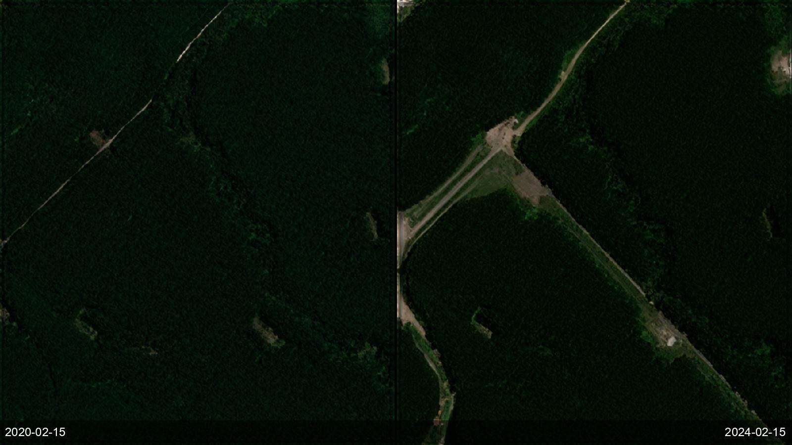 Forest health, illegal logging and biomass